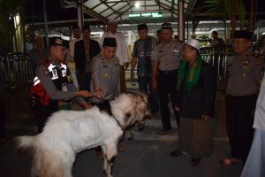 Kapolres Serahkan Hewan Qurban ke Masjid Sunan Kalijaga