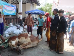 Sambut Idul Adha, Polres Demak Sembelih 6 Ekor Sapi dan 5 Ekor Kambing