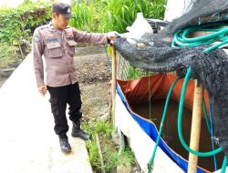 Personil Polsek Bonang Aktif Mengecek Lahan Pangan Pekarangan Bergizi Di Desa Bonangrejo .