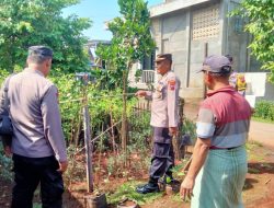 Dukung Program Ketahanan Pangan, Kapolsek Gajah Cek Lahan Di Desa Kedondong .