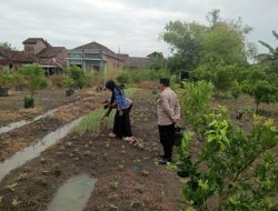 Kanit Binmas Polsek Karanganyar Lakukan Pengecekan Lahan Ketahanan Pangan