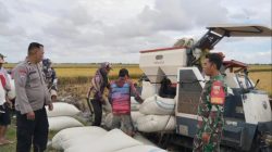 Dukung Ketahanan Pangan Nasional, Sinergitas TNI-Polri Sambangi Petani Yang Sedang Masa Panen Padi.
