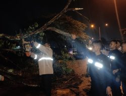 Sat Samapta Polres Demak Evakuasi Pohon Tumbang Menutupi Sebagian Jalan